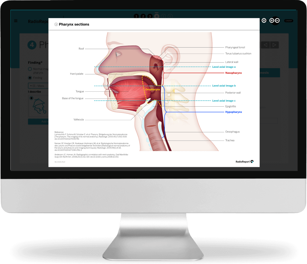 pharynx sections overlay 4k